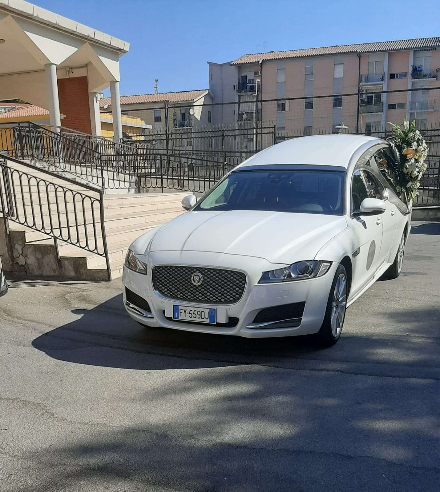 Jaguar bianco